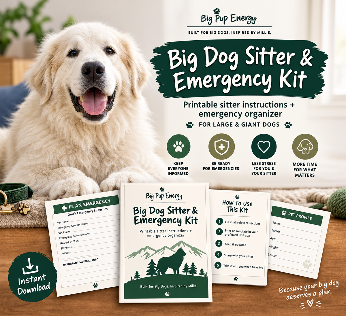 Big Dog Sitter & Emergency Kit