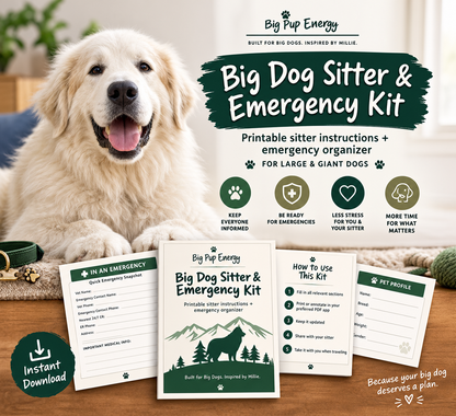 Big Dog Sitter & Emergency Kit