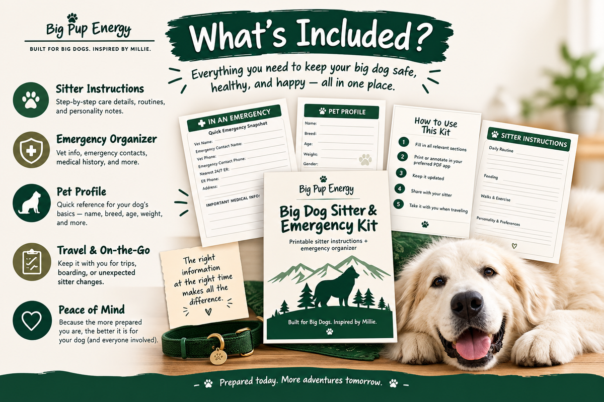 Big Dog Sitter & Emergency Kit