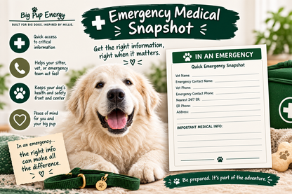 Big Dog Sitter & Emergency Kit