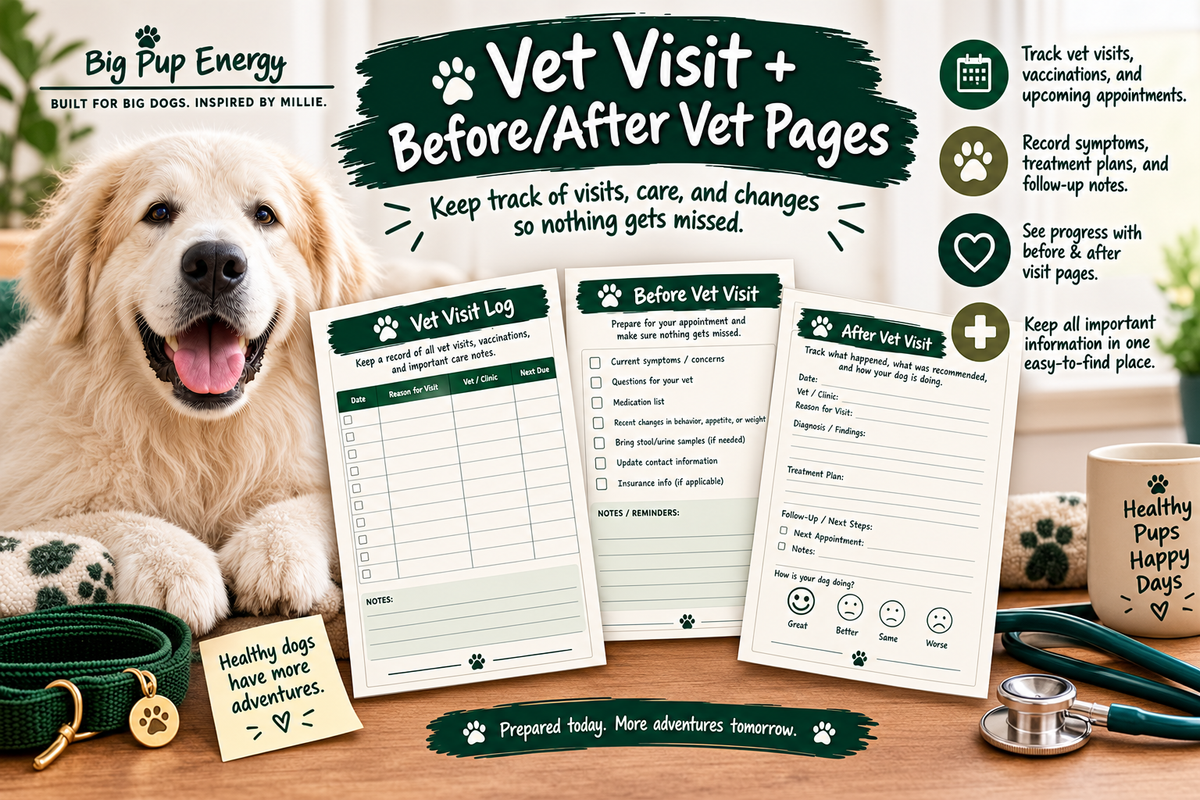 Big Dog Sitter & Emergency Kit