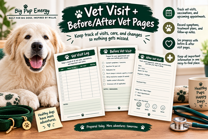 Big Dog Sitter & Emergency Kit