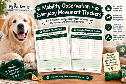 Big Dog Sitter & Emergency Kit