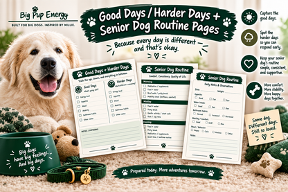Big Dog Sitter & Emergency Kit