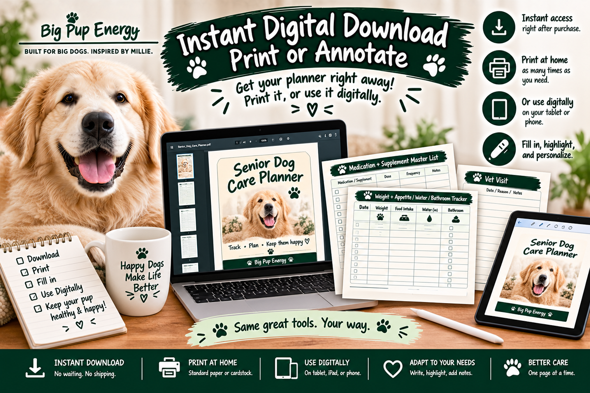Big Dog Sitter & Emergency Kit