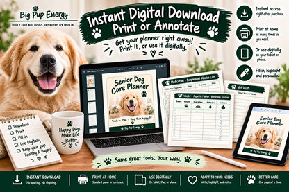Big Dog Sitter & Emergency Kit