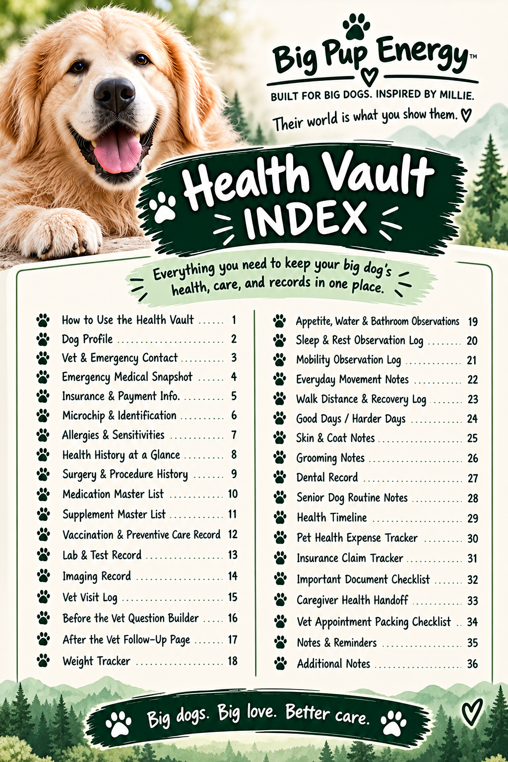 The Big Dog Health Vault