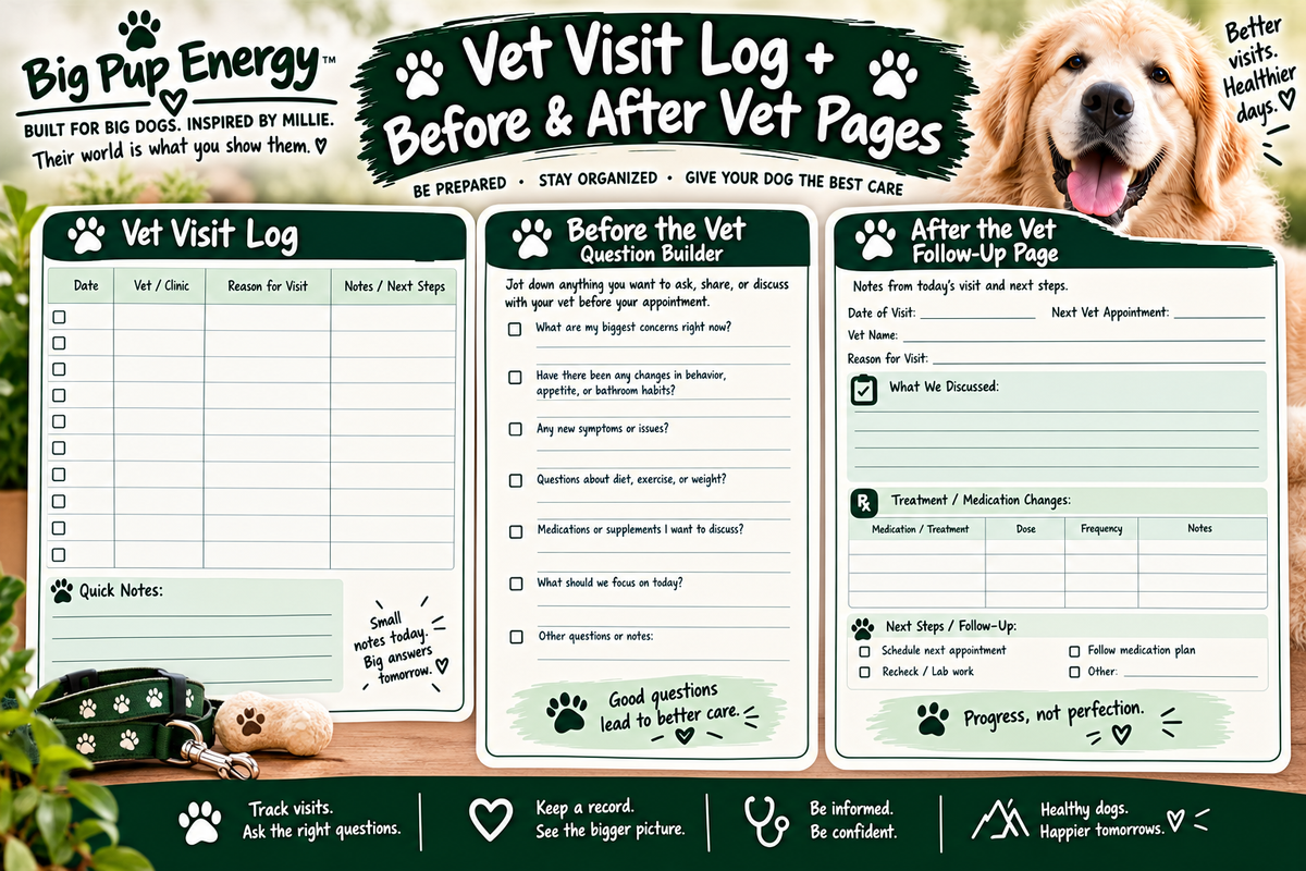 The Big Dog Health Vault