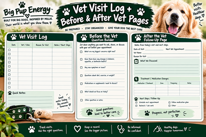 The Big Dog Health Vault