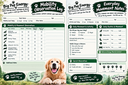 The Big Dog Health Vault