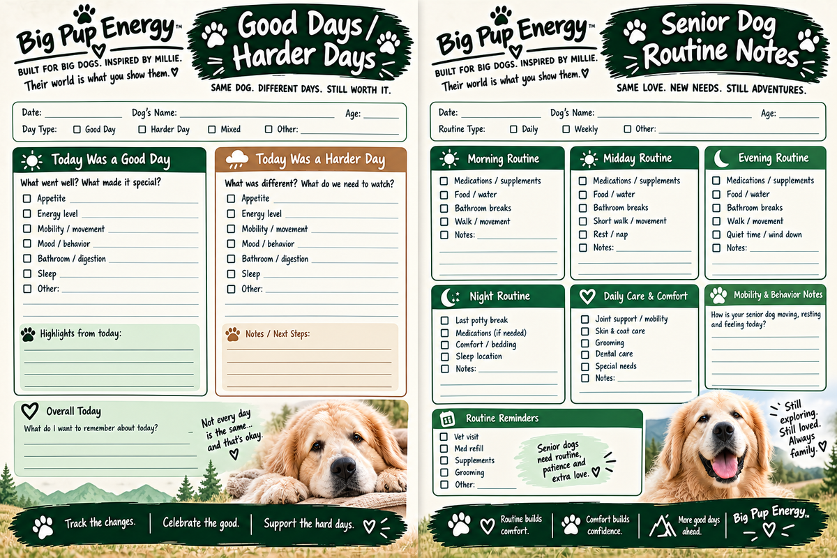 The Big Dog Health Vault