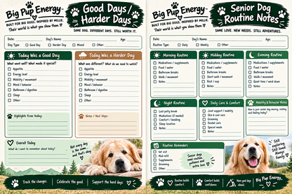 The Big Dog Health Vault
