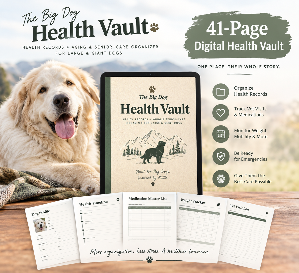 The Big Dog Health Vault