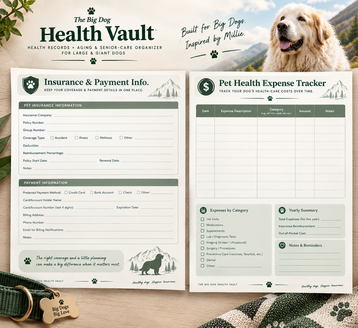 The Big Dog Health Vault