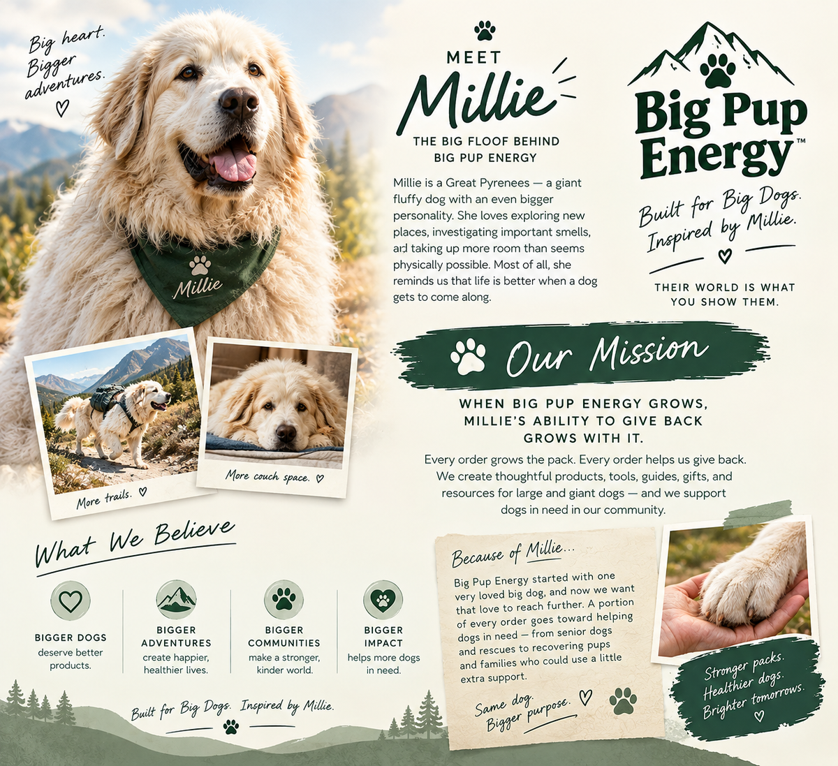 The Big Dog Health Vault