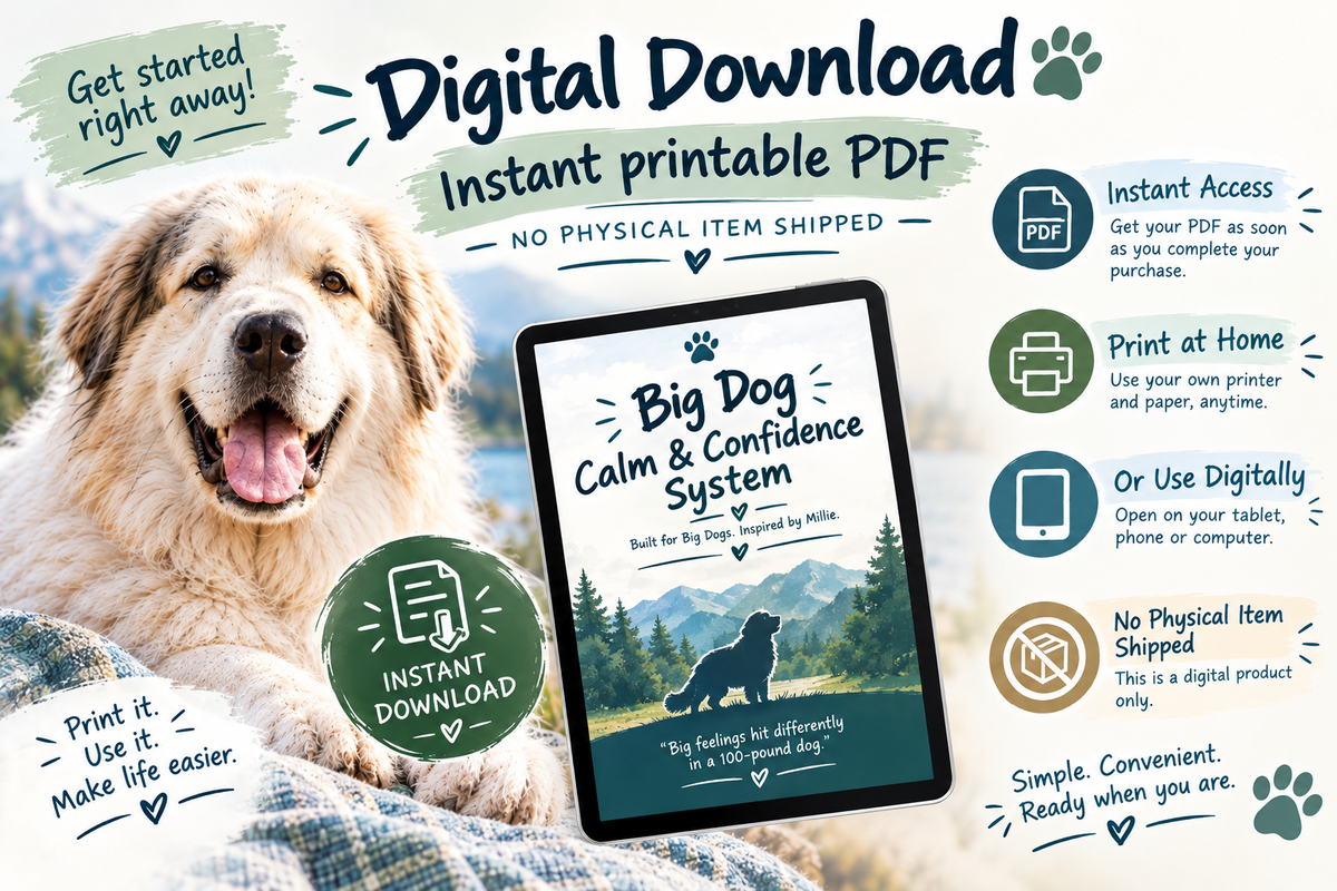 Big Dog Calm & Confidence System