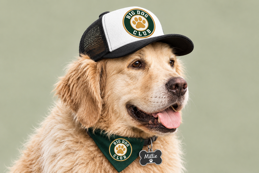 Dog Club Foam Trucker Hat, Paw Print Dog Hat, Dog Lover Cap, Dog Dad Gift, Pet Lover Hat, Canine Club Hat, Black White Trucker Cap