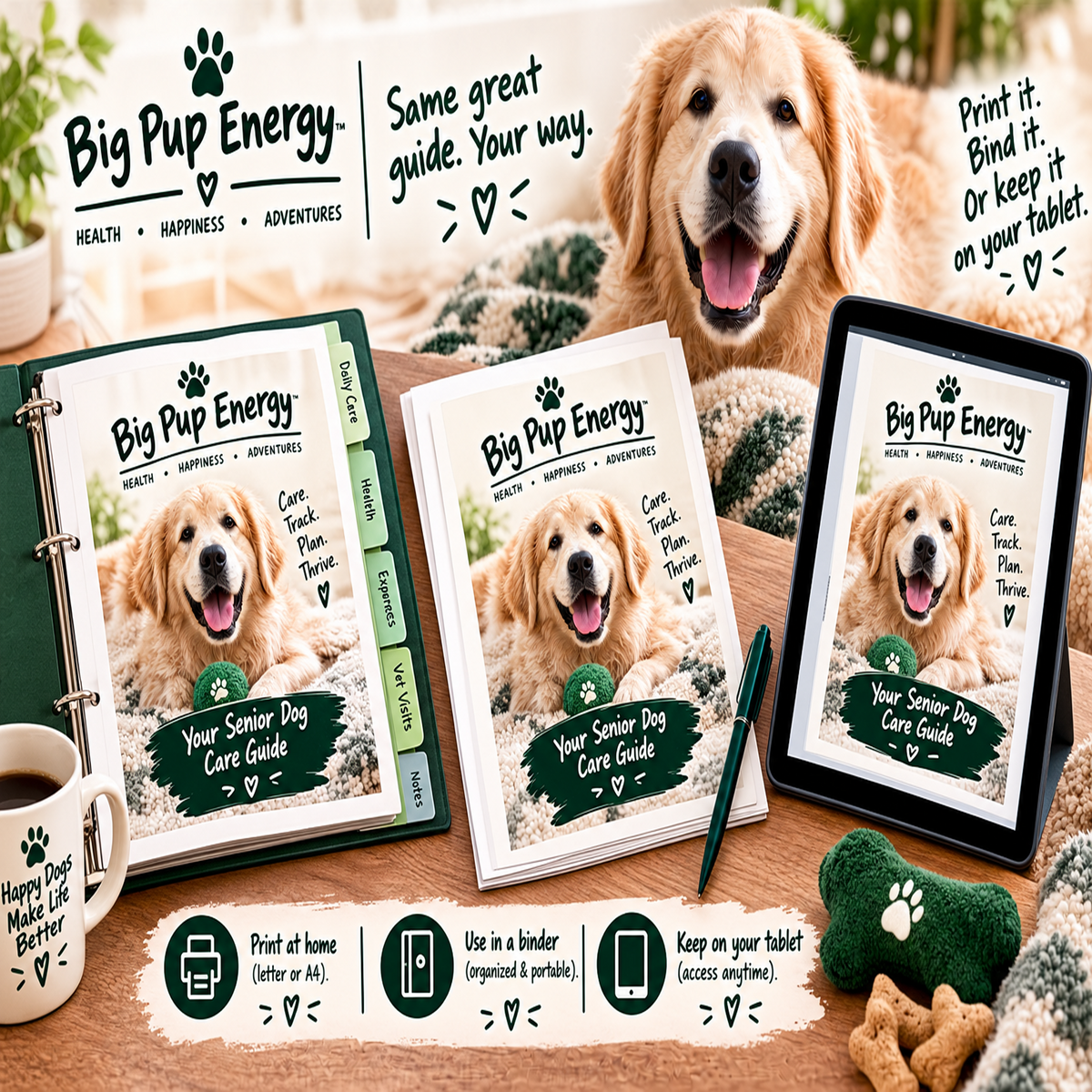 Big Dog Sitter & Emergency Kit