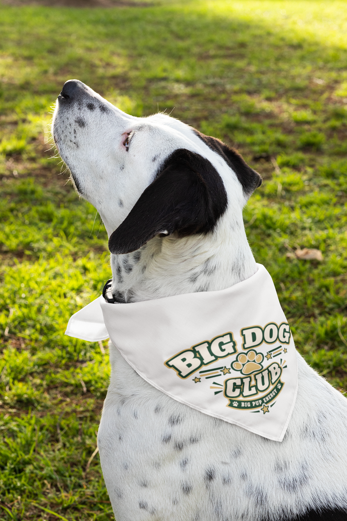 Big Dog Club Pet Bandana