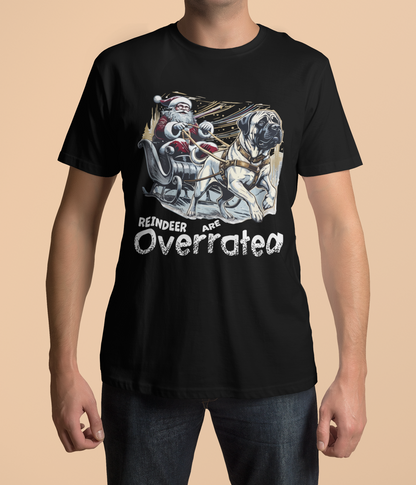Funny Santa & Great Dane Sleigh Ride T-Shirt Design