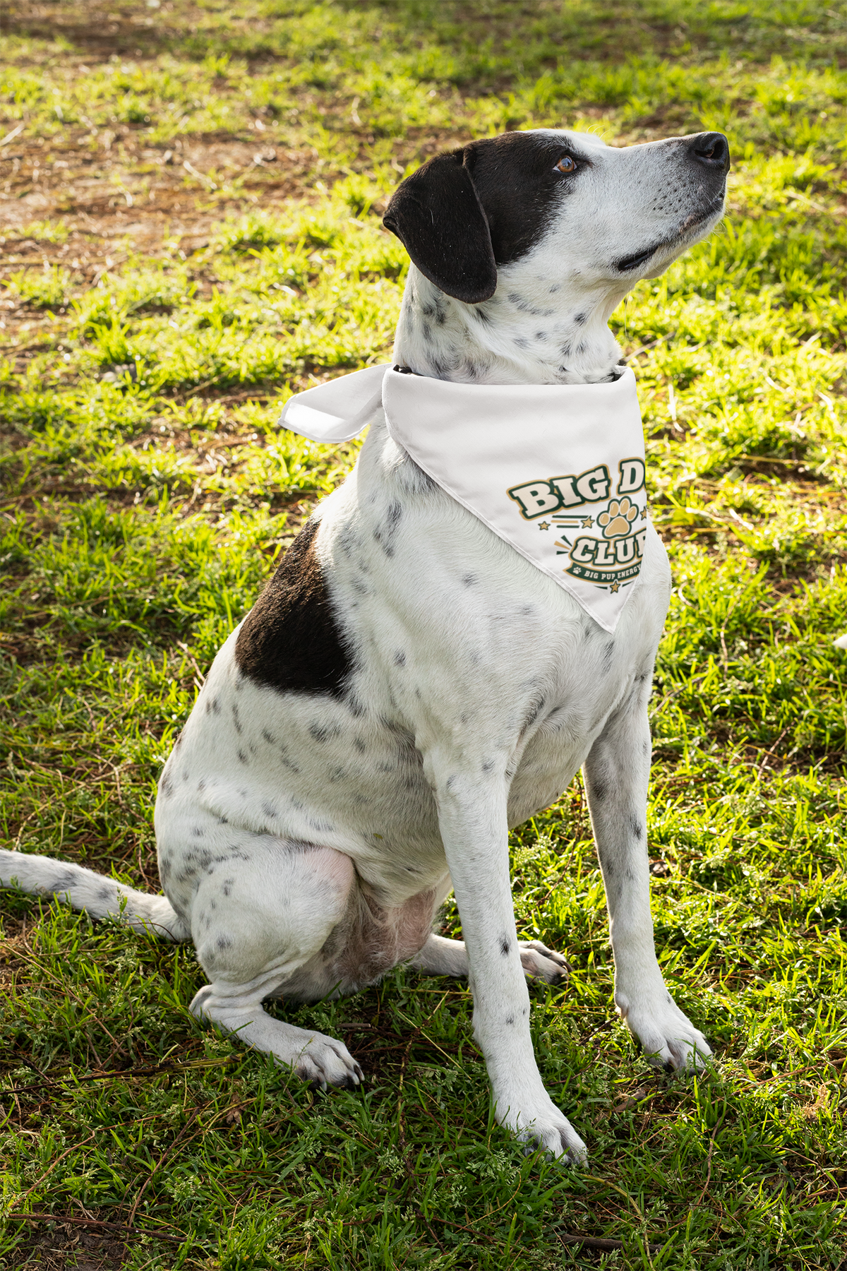Big Dog Club Pet Bandana