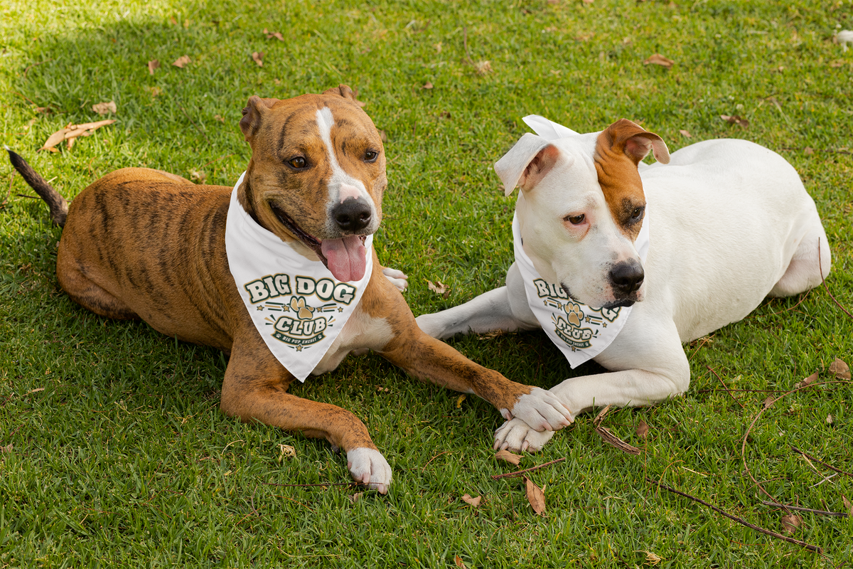 Big Dog Club Pet Bandana