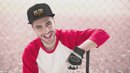 Big Pup Energy Embroidered Hat